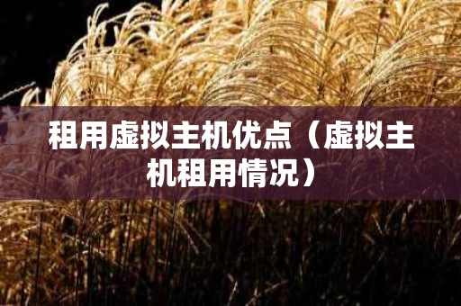 租用虚拟主机优点（虚拟主机租用情况）