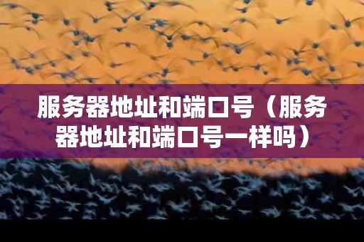 服务器地址和端口号（服务器地址和端口号一样吗）