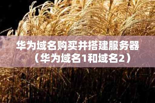 华为域名购买并搭建服务器（华为域名1和域名2）