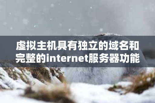 虚拟主机具有独立的域名和完整的internet服务器功能（虚拟主机也称虚拟服务器）