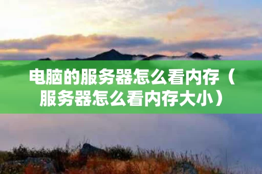 电脑的服务器怎么看内存（服务器怎么看内存大小）