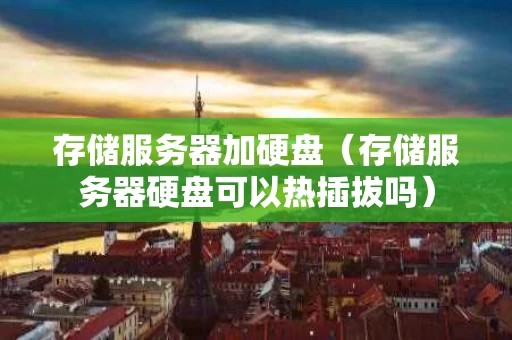 存储服务器加硬盘（存储服务器硬盘可以热插拔吗）