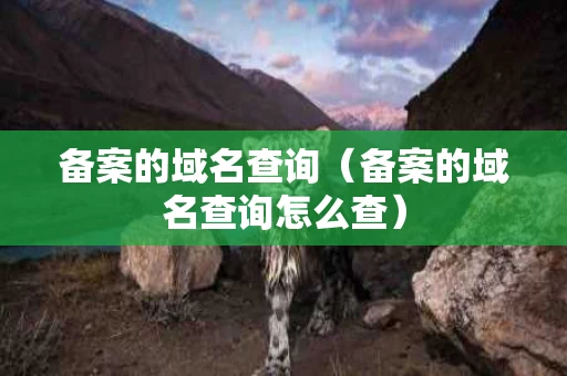 备案的域名查询（备案的域名查询怎么查）