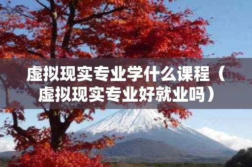 虚拟现实专业学什么课程（虚拟现实专业好就业吗）
