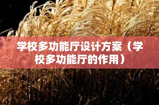 学校多功能厅设计方案（学校多功能厅的作用）