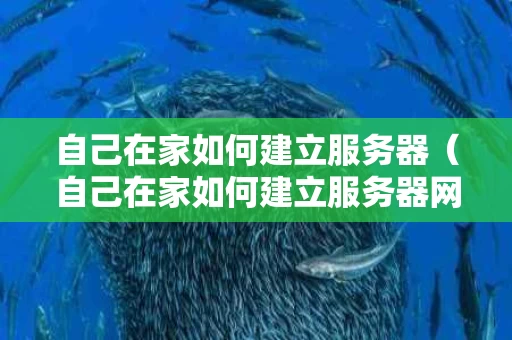 自己在家如何建立服务器（自己在家如何建立服务器网络）