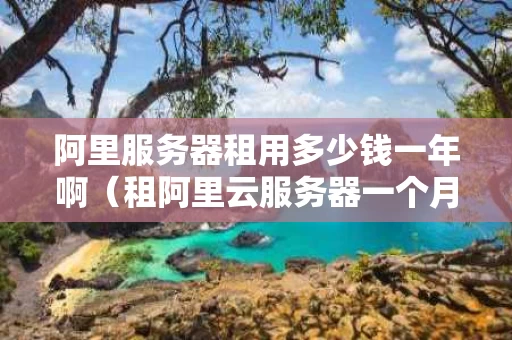 阿里服务器租用多少钱一年啊（租阿里云服务器一个月租多少钱）