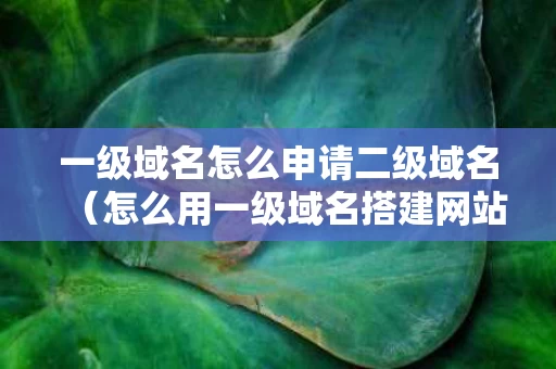 一级域名怎么申请二级域名（怎么用一级域名搭建网站）