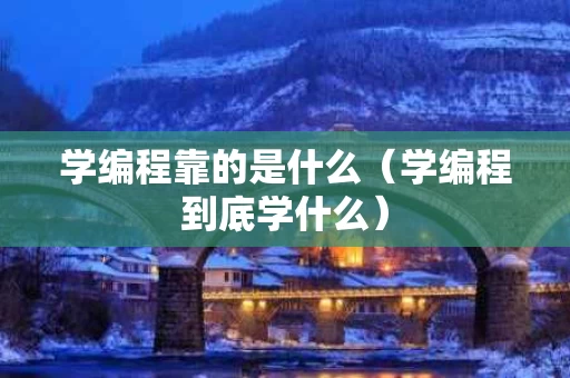 学编程靠的是什么（学编程到底学什么）