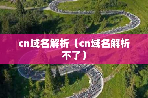 cn域名解析（cn域名解析不了）