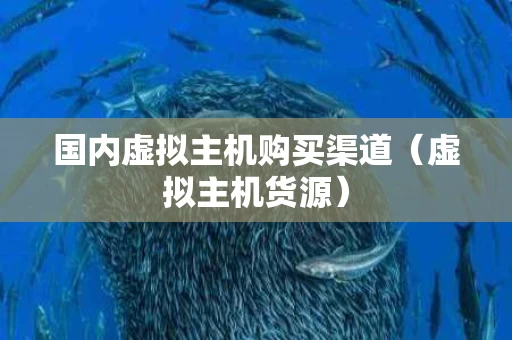 国内虚拟主机购买渠道（虚拟主机货源）