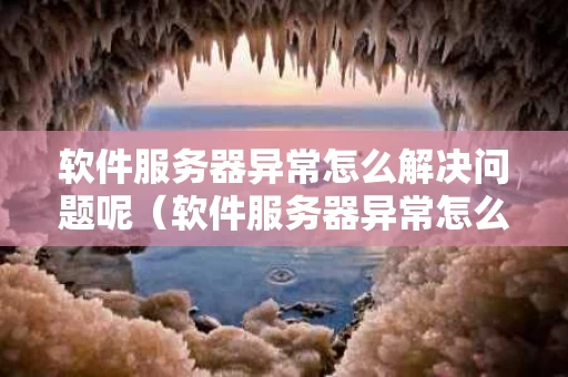 软件服务器异常怎么解决问题呢（软件服务器异常怎么解决问题呢苹果）