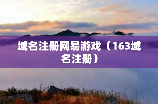 域名注册网易游戏（163域名注册）