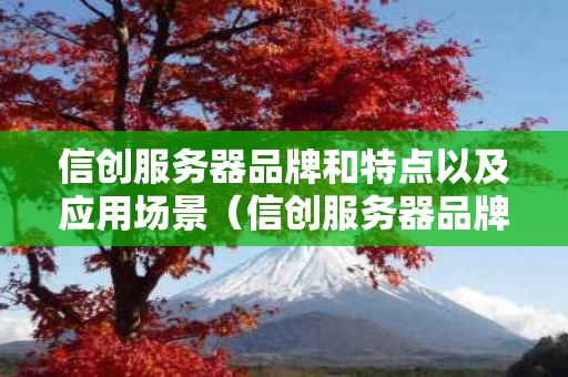 信创服务器品牌和特点以及应用场景（信创服务器品牌和特点以及应用场景有哪些）