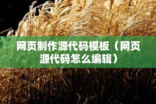 网页制作源代码模板（网页源代码怎么编辑）