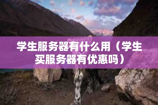 学生服务器有什么用（学生买服务器有优惠吗）