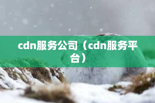 cdn服务公司（cdn服务平台）