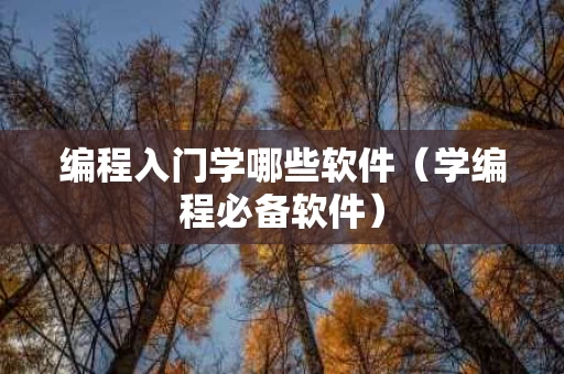 编程入门学哪些软件（学编程必备软件）