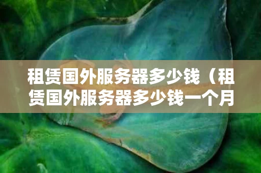 租赁国外服务器多少钱（租赁国外服务器多少钱一个月）