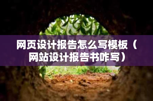 网页设计报告怎么写模板（网站设计报告书咋写）