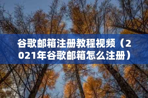 谷歌邮箱注册教程视频（2021年谷歌邮箱怎么注册）