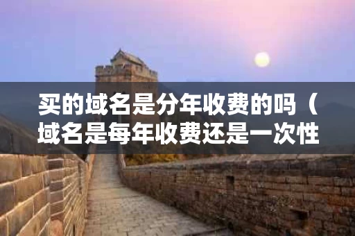 买的域名是分年收费的吗（域名是每年收费还是一次性收费）