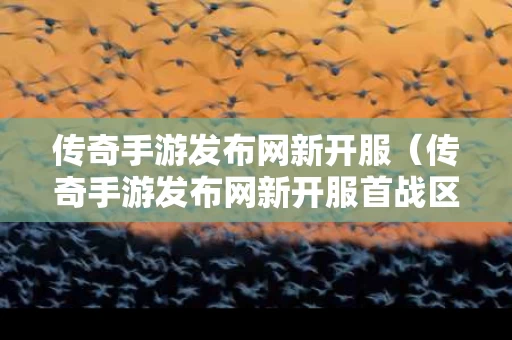 传奇手游发布网新开服（传奇手游发布网新开服首战区）