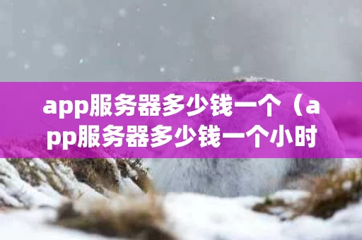app服务器多少钱一个（app服务器多少钱一个小时）