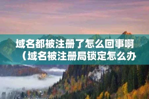 域名都被注册了怎么回事啊（域名被注册局锁定怎么办）
