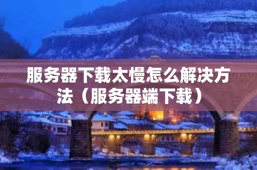 服务器下载太慢怎么解决方法（服务器端下载）