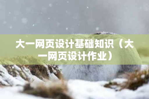 大一网页设计基础知识（大一网页设计作业）
