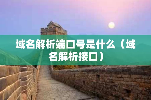 域名解析端口号是什么（域名解析接口）