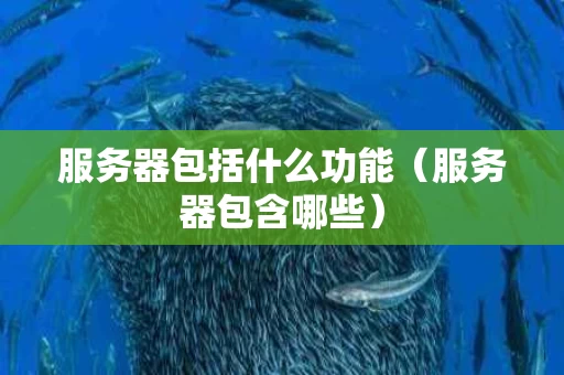 服务器包括什么功能（服务器包含哪些）