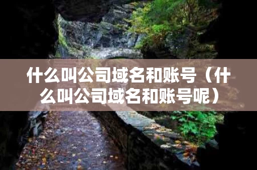 什么叫公司域名和账号（什么叫公司域名和账号呢）
