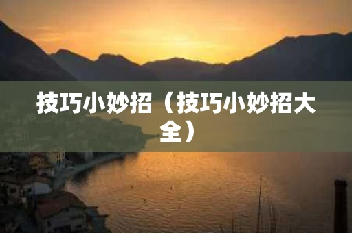 技巧小妙招（技巧小妙招大全）