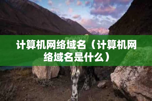 计算机网络域名（计算机网络域名是什么）