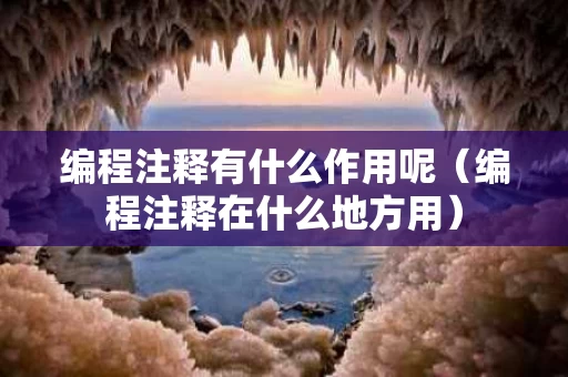 编程注释有什么作用呢（编程注释在什么地方用）
