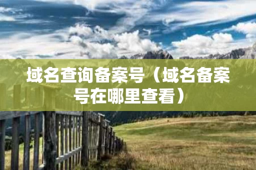 域名查询备案号（域名备案号在哪里查看）