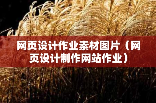 网页设计作业素材图片（网页设计制作网站作业）