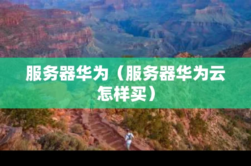 服务器华为（服务器华为云怎样买）