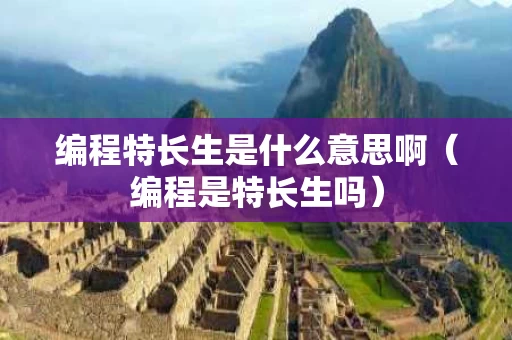 编程特长生是什么意思啊（编程是特长生吗）