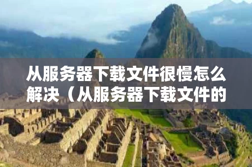 从服务器下载文件很慢怎么解决（从服务器下载文件的命令）