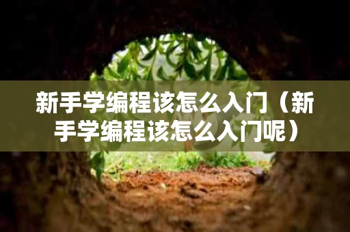 新手学编程该怎么入门（新手学编程该怎么入门呢）