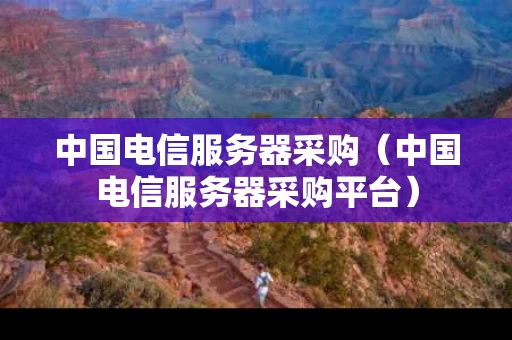 中国电信服务器采购（中国电信服务器采购平台）
