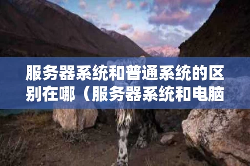 服务器系统和普通系统的区别在哪（服务器系统和电脑系统一样吗）