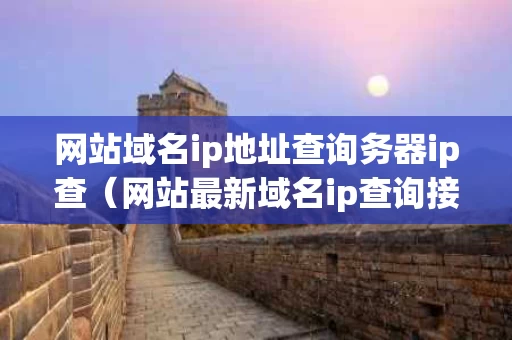 网站域名ip地址查询务器ip查（网站最新域名ip查询接口）