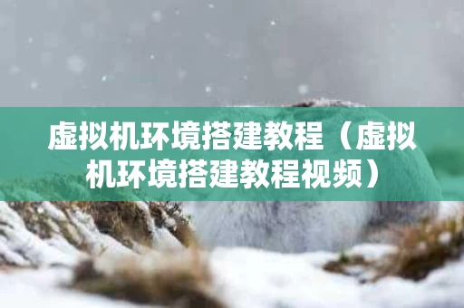 虚拟机环境搭建教程（虚拟机环境搭建教程视频）
