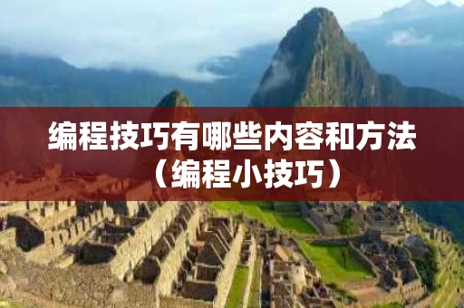 编程技巧有哪些内容和方法（编程小技巧）