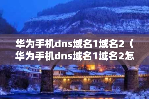 华为手机dns域名1域名2（华为手机dns域名1域名2怎么设置）