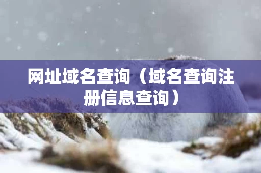 网址域名查询（域名查询注册信息查询）